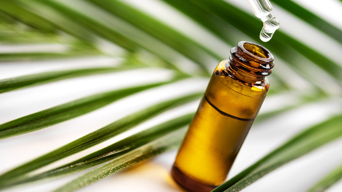 Tea Tree Oil Shampoo and Conditioner Benefits - Honeyskin